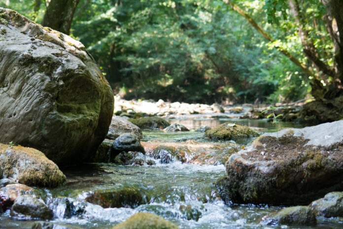 J’adopte un cours d’eau célèbre 25 ans d’éducation environnementale et de science citoyenne