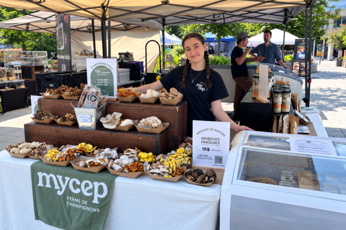 Mycep termine sa saison à Bromont, mais cultive à l’année